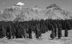 Mt. Wison near Telluride