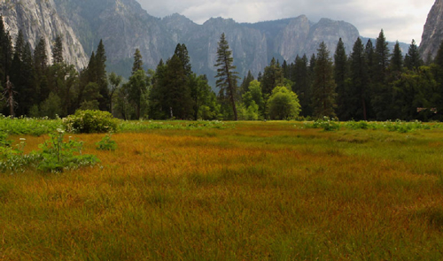 View from Olmsted Point in Yosemite National Park, California