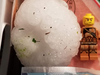 2.5 in. hail from Aug. 6, 2018 Cheyenne Mtn. Zoo hailstorm
