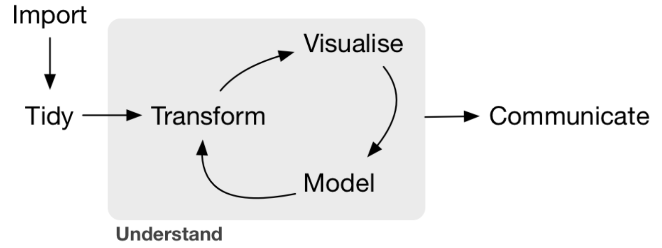 A Handbook of Statistical Analyses using by Hothorn, Torsten